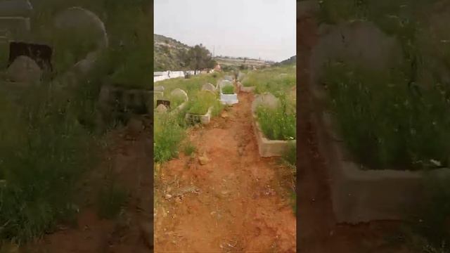 Cimetière d agadir смотреть онлайн