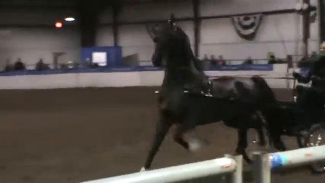 Mane Event 2018- Hiro T смотреть онлайн