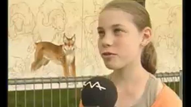 Frank Pé (Zoo, Broussaille) - Interview 2009 - Fresque mai 2009 Grotte Han-sur-Lesse смотреть онлайн