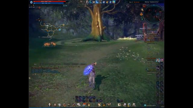 Не много побегал в TERA смотреть онлайн