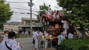 Прогулка в парк. Япония