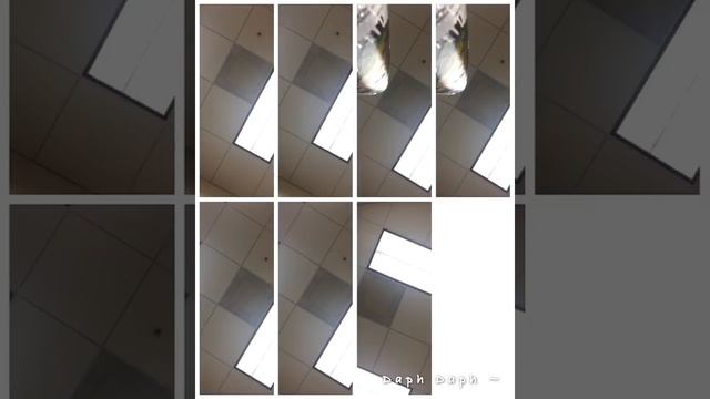 Stars for SSSAAA A Capella x Sara Teasdale смотреть онлайн