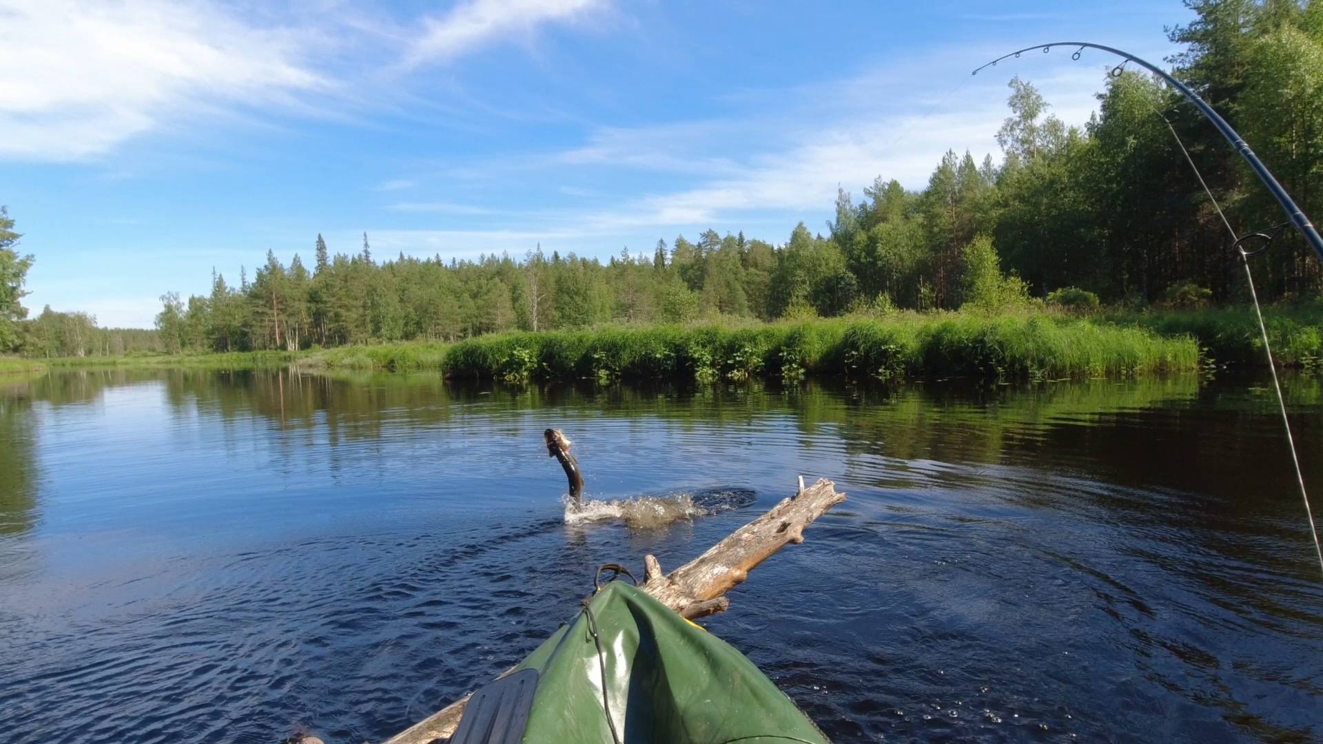 РЕЧУШКА НЕ БОЛЬШАЯ А ЩУКИ КАК МОНСТРЫ. РЫБАЛКА С ЛОДКИ НА СПИННИНГ. ХИЩНИЦА СХВАТИЛА КАК БЕШЕННАЯ смотреть онлайн