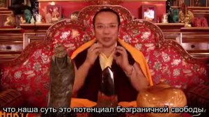 Тай Ситу Ринпоче: Безграничные
