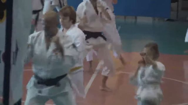 Shorinji kempo Ostia Novembre 2011 video1 .mp4 смотреть онлайн