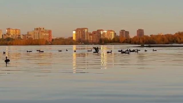 Новосибирск. Обь.mp4 смотреть онлайн