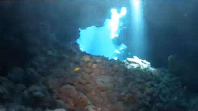 GoPro 2 Diving in Egypt, Sha'ab Claudio, Berenice смотреть онлайн