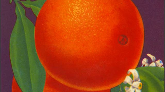 Natália Correia*- "Uma laranja para Alberto Caeiro" do disco "Improviso" (LP 1973) смотреть онлайн