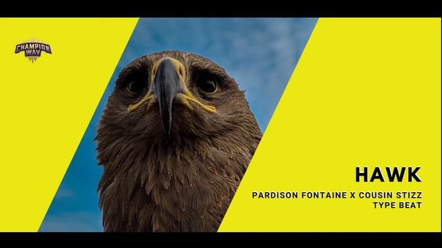 Pardison Fontaine x Cousin Stizz type beat 2019 "Hawk" | (Free) смотреть онлайн