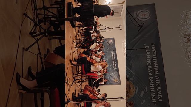 Вече Бетовена, оркестар МО 