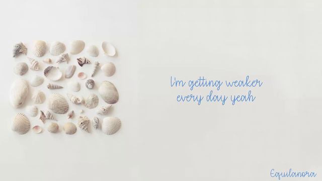 Cher Lloyd - Sirens (Lyrics)