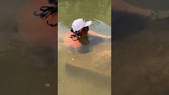 CATFISH NOODLING: Shallow Water, He Bit Me On The Leg!