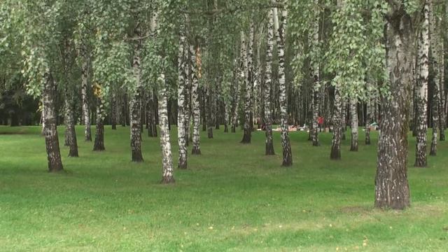 Свадьба Третьякова Ивана и Каныгиной Ксении смотреть онлайн