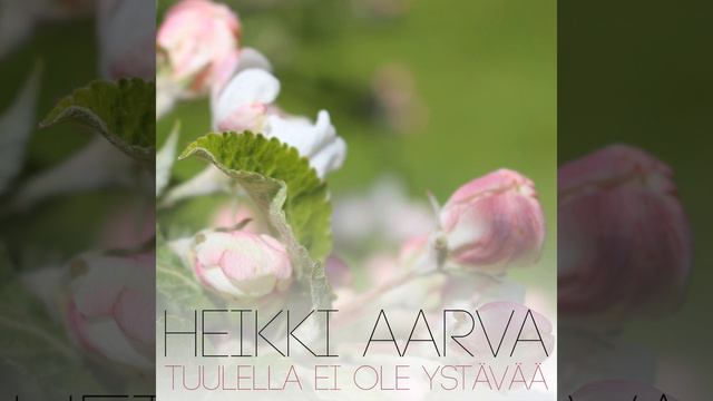 Tuulella Ei Ole Ystävää