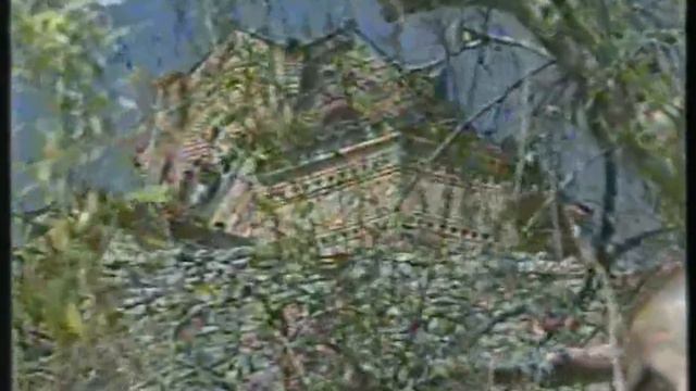Dobri Stavrevski - Onaa Strana Ogan Gori