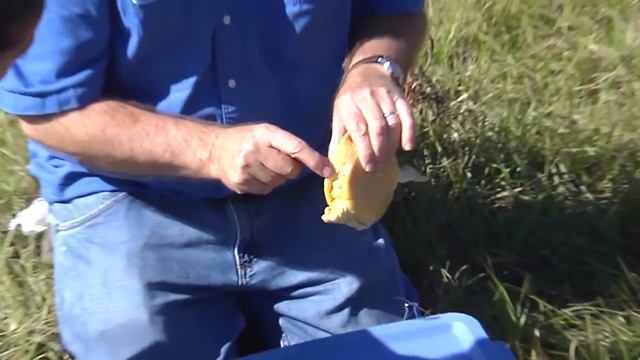 Curious Kids: Let’s Get Curious