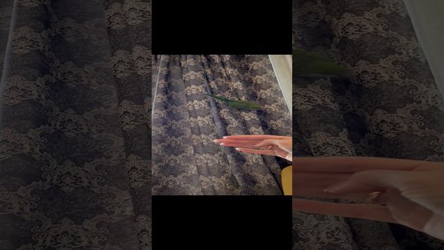 Высший пилотаж 😁