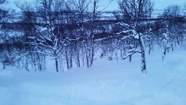 Some pow in december смотреть онлайн