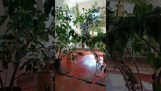г. Тетюши, усадьба Молоствовых, пристань смотреть онлайн