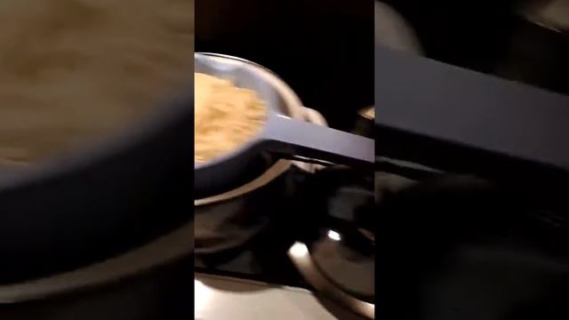 Кошка Лиза Leeloo - опять макароны