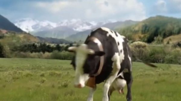 membersihkan mainan hewan bebek angsa sapi kerbau kuda nil badak domba kucing ayam buaya