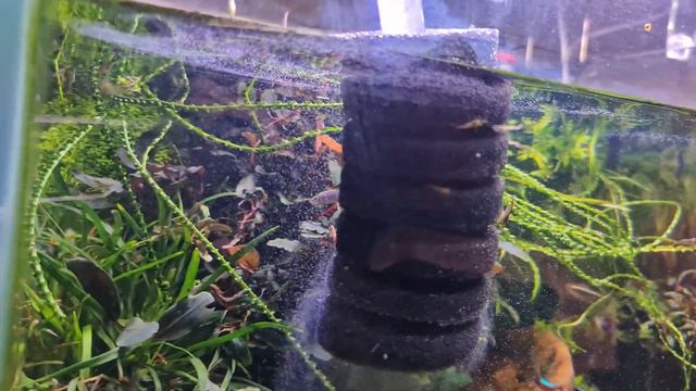 Подмена (водопровод) 31.01.21 смотреть онлайн