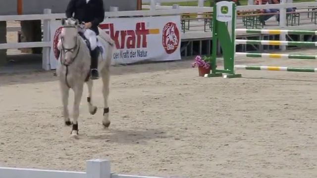 Tomáš Navrátil - Cargo 3 Kritéria Mladých Koní Ptýrov 4. 6. 2014