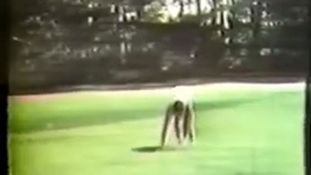 上迫忠夫 Uesako Tadao (JPN) 1952 FX Compulsory Triumphal Return Exhibition After Olympic Games