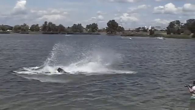 Josee's Crowmobe Wakeboard OB OMSZK 2009