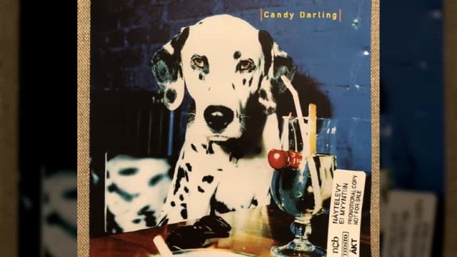 Candy Darling - Superbang смотреть онлайн