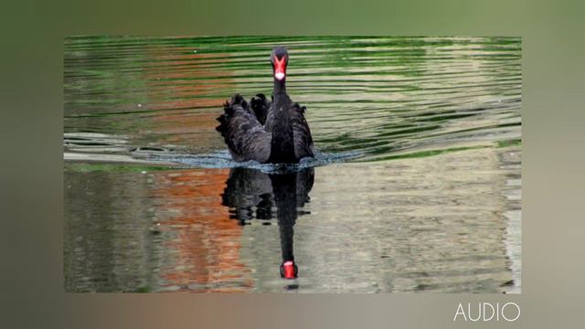 Prekonanie Pochybností... (POŽEHNANIE PRE TEBA - Nedeľa, 13.8.2023).🙏