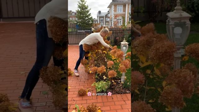 Скоро зима, но даже в мороз не будет холодно, если с вами Екатерина Весна! смотреть онлайн