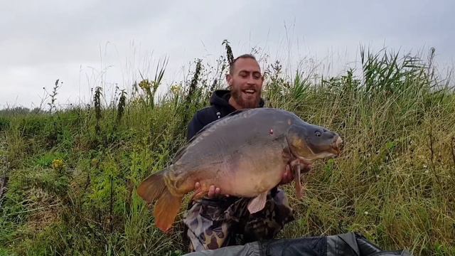 Hasse Fen 36lb13oz