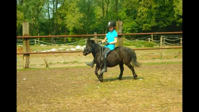 Dag 6 kamp bij tante Mo смотреть онлайн