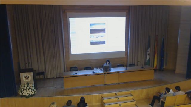 Jornadas De Investigación En La ETSIE 'Exposiciones Orales De PGF'