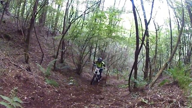 Pietro tarocco Scorpa 2015 sound fail :D)) смотреть онлайн