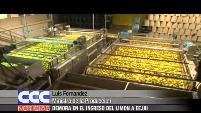 Luis Fernandez   Demora En El Ingreso Del Limón A EE UU
