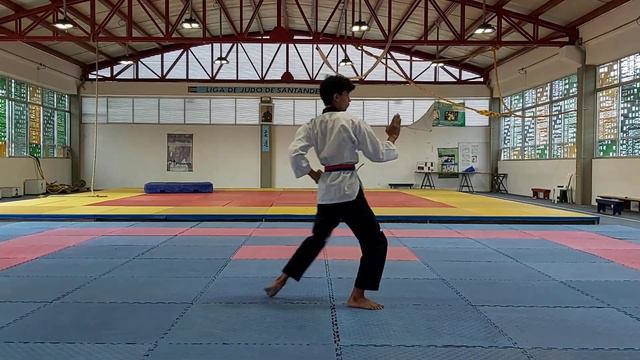 Carlos Andres Andrade Argote - Junior, Avanzados - poomsae 5, preliminar Intercolegiados. смотреть онлайн