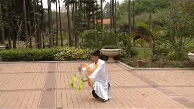 Парные кольца.flv смотреть онлайн