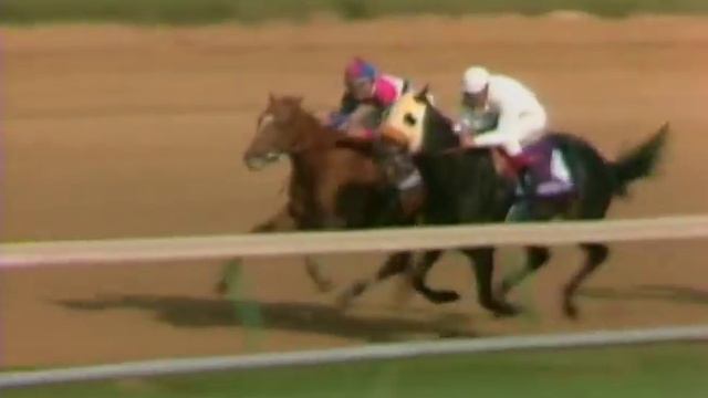 TVG Breeders' Cup Moment - Arazi