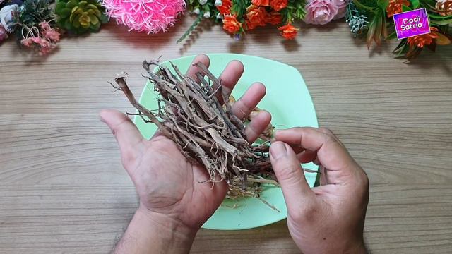 REMATIK DAN SAKIT PINGGANG SEMBUH / BERUNTUNG JIKA ANDA TAU VIDEO INI смотреть онлайн