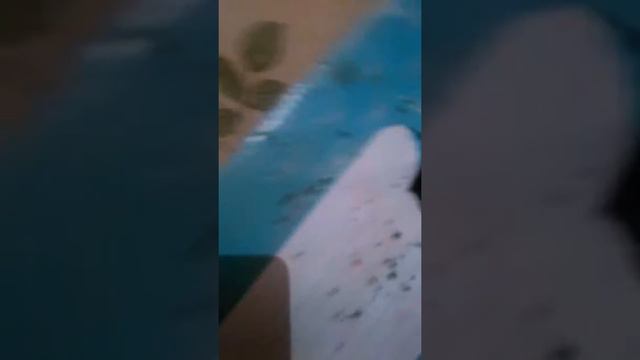 27 декабря 2017 г. смотреть онлайн