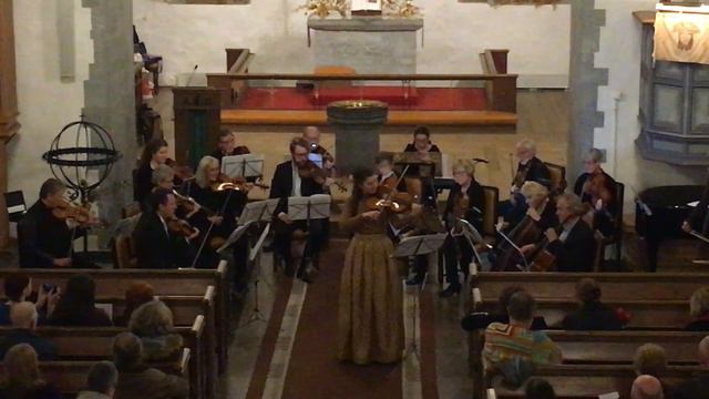 G.Ph.Telemann: Viola Concerto in G major - Allegro смотреть онлайн