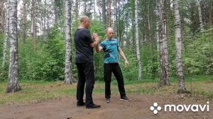 Как использовать силу противника. Показан принцип обучения.