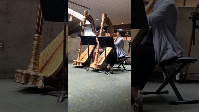 Allegretto by Pescetti for Harp смотреть онлайн