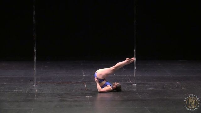2019 PSO Golden Gate Pole Bronze Medalist, Aerial Allison