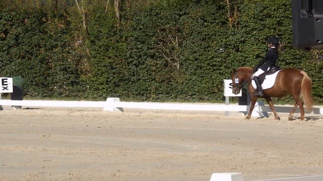 dresura shetland (Generali Open de France 2016) смотреть онлайн