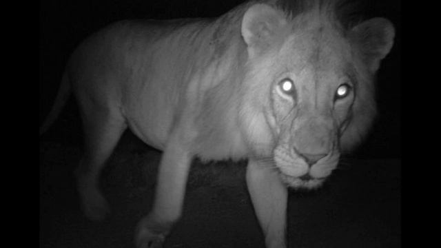 The Journey by Mary Oliver смотреть онлайн