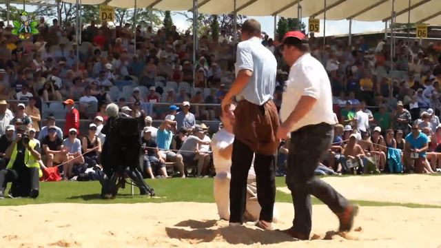 Reichmuth Pirmin am Innerschweizer Schwingfest 2014 Cham смотреть онлайн