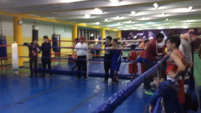 Sparing-Dynamo. Sos Harutyunyan (blue corner) смотреть онлайн